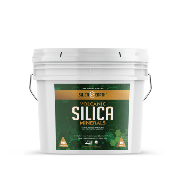 Silica Earth - Micronized Silica Minerals