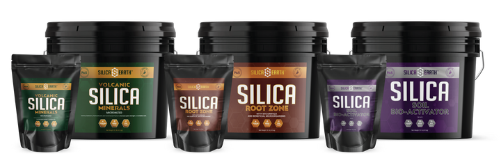 Featured Collection – Silica Earth